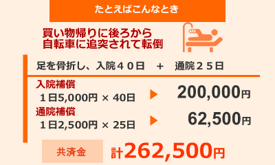 ケガの補償例