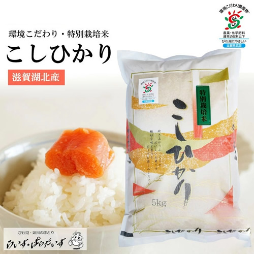 特別栽培米 こしひかり
