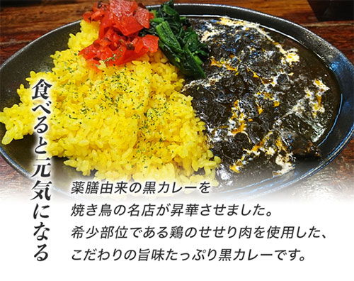 片岡の里春ちゃんの黒カレー