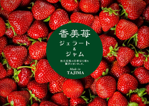 スカイバレイスキー場の画像