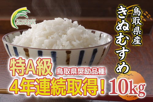 鳥取県産きぬむすめ