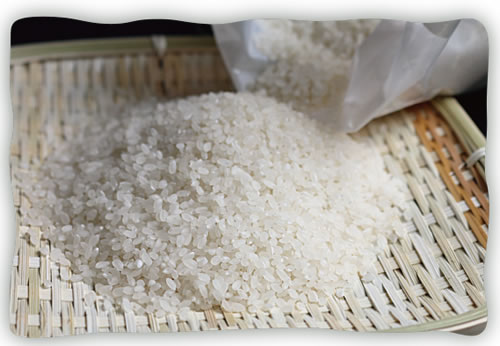 (サブスク便）広島県庄原市産特別栽培米コシヒカリ　精米