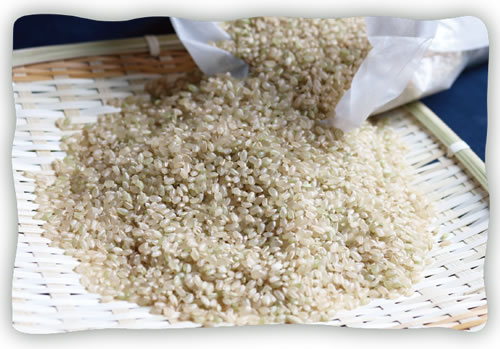 (サブスク便）広島県庄原市産特別栽培米コシヒカリ　玄米