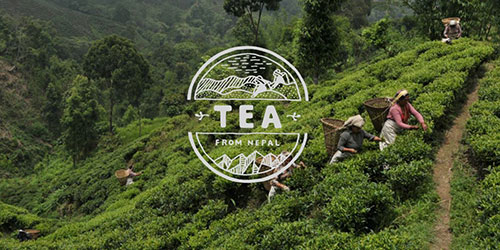 株式会社TEA PARTYの画像