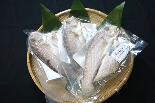 超高級魚・白甘鯛の一夜干し