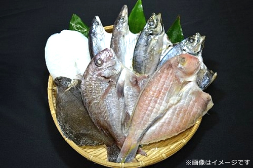 ピチピチ朝獲れ鮮魚の一夜干し