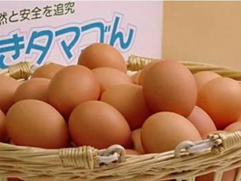 普段使い卵