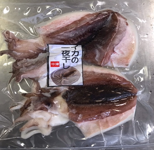 イカの一夜干し