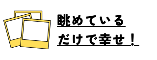 きれいへ移動