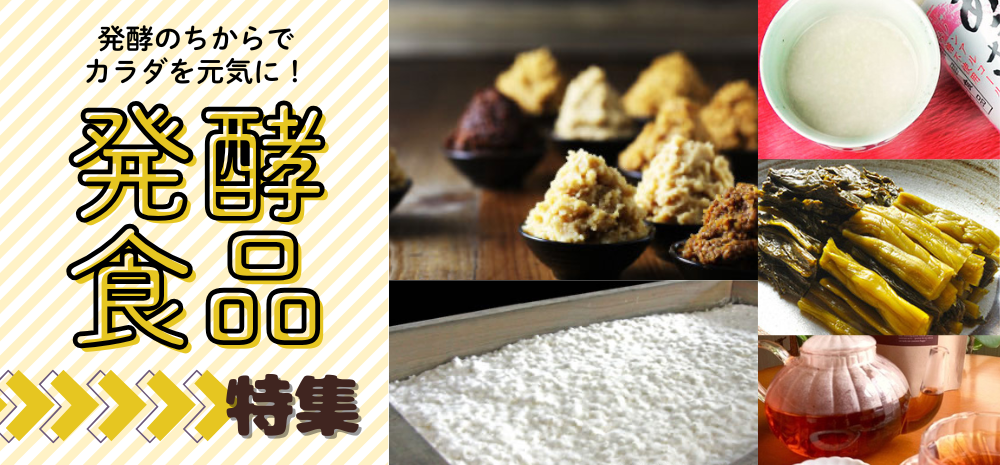 【特集】発酵食品
